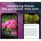 This Nature ID Plant Identification Premium Plan Is At An All Time Low Price Drop With 75% Off